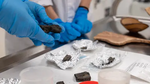 Tecnología de vanguardia al servicio del pasado: Una mirada al Laboratorio de Arqueobotánica del INCIPIT-CSIC, clave para desvelar los secretos de las plantas en la prehistoria y el mundo romano.