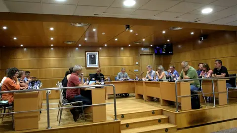 l salón consistorial del Concello do Porriño durante la sesión plenaria.