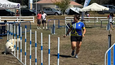 Participantes nas probas da Galican Agility Cup.