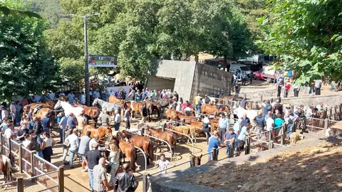 Vista aérea de la Feira Tradicional Interfreguesias, donde los animales autóctonos como la vaca cachena y el caballo garrano son los protagonistas del certamen pecuario.