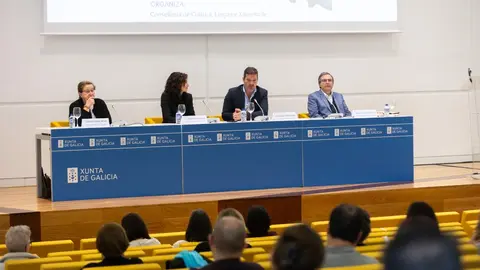 El conselleiro de Cultura, Lingua e Xuventude participó en la jornada técnica que reúne desde ayer a especialistas en este ámbito en la Cidade da Cultura.