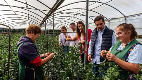 La conselleira María José Gómez, junto a trabajadores de Flores Casabella, destaca el compromiso de la Xunta con el pujante sector gallego de la planta ornamental y flor cortada, motor económico y de empleo rural.