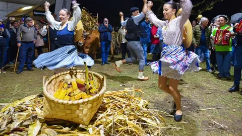 Danças e alegria contagiam a Desfolhada Tradicional de Cerdal. Uma noite única que celebra a cultura local com cantares ao desafio e folclore.