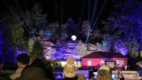 Paisaje iluminado de la Floresta Encantada, un recorrido que combina naturaleza y fantasía.