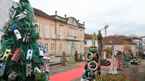 arvores_na_praca_municipal_1_1024_2500