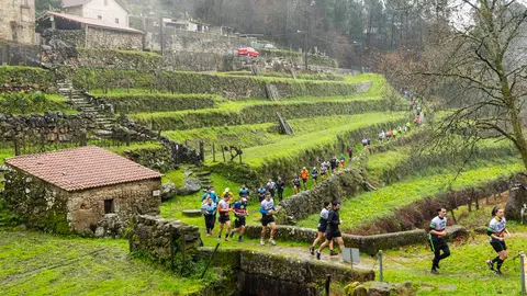 Participantes del Trail do Aloia durante una edici&oacute;n anterior, recorriendo senderos y paisajes del Parque Natural Monte Aloia, uno de los grandes atractivos de esta prueba de monta&ntilde;a.