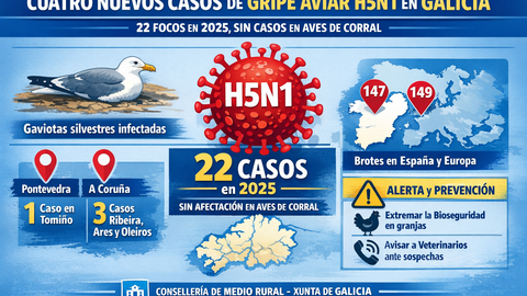 Infograf&iacute;a DL-G.