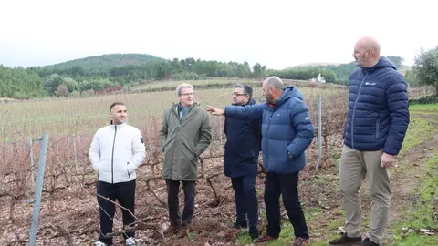 El delegado territorial de la Xunta en Ourense, Manuel Pardo, durante su visita a vi&ntilde;edos de la DO Monterrei en Ver&iacute;n, donde supervis&oacute; actuaciones de mejora en la bodega Pazo de Valdeconde apoyadas con ayudas auton&oacute;micas.