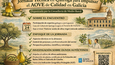 Infograf&iacute;a DL-G.