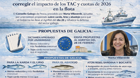 Infograf&iacute;a DL-G.