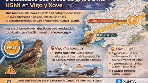 Infograf&iacute;a DL-G.