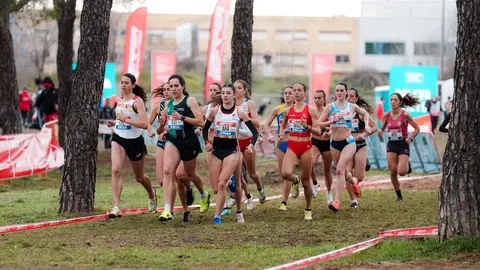 Un grupo de atletas compite en una prueba de campo a trav&eacute;s durante el Campeonato de Espa&ntilde;a por selecciones auton&oacute;micas. Foto: RFEA.
