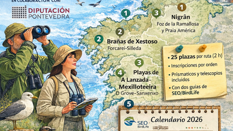 Iinfograf&iacute;a DL-G.