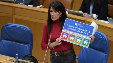 Mar&iacute;a Mart&iacute;nez Allegue, conselleira de Vivenda e Planificaci&oacute;n de Infraestruturas, durante a s&uacute;a intervenci&oacute;n no Parlamento de Galicia, onde criticou os prezos de alugueiro das vivendas ofertadas por Casa 47 en Vigo.