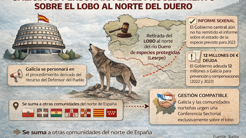 Infograf&iacute;a. DL-G.