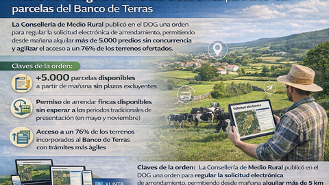 Infograf&iacute;a DL-G.