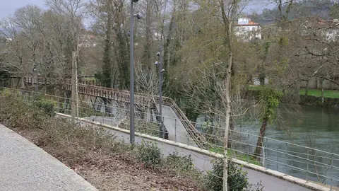 Planta&ccedil;&atilde;o de novas cerejeiras 'Prunus Serrulata Kanzan' na Avenida do Recontro, em Arcos de Valdevez, junto ao rio Vez, no &acirc;mbito da renova&ccedil;&atilde;o da arboriza&ccedil;&atilde;o urbana.