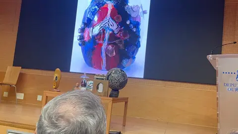 Proxecci&oacute;n da imaxe da Virxe do Cristal creada por Carmen Touza durante a presentaci&oacute;n da obra no Centro Cultural Marcos Valc&aacute;rcel.