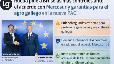 Infograf&iacute;a DL-G.