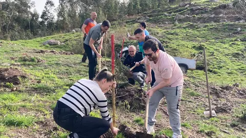 Usuarios do CEE Juan Mar&iacute;a participan na plantaci&oacute;n de oliveiras no futuro parque forestal Os Matos&ndash;R&iacute;o T&aacute;boas, en Camos, dentro das xornadas comunitarias de reforestaci&oacute;n promovidas polo Concello de Nigr&aacute;n.
