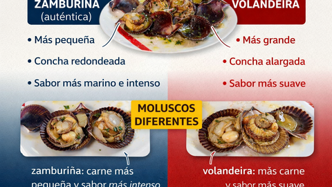 Infograf&iacute;a DL-G.