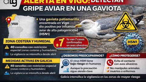 Departamento de Infograf&iacute;a DL-G.