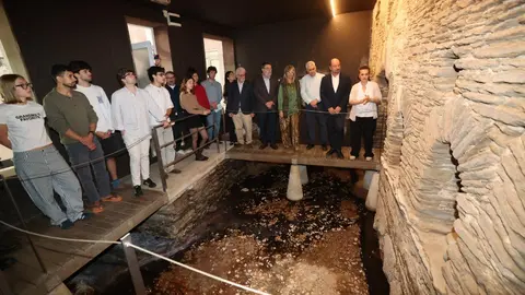 El director de Turismo de Galicia, Xos&eacute; Merelles, visita las Termas Romanas de Lugo durante uno de los seminarios de la C&aacute;tedra de Hidrolox&iacute;a M&eacute;dica.