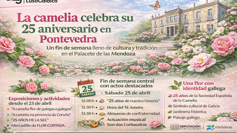 Departamento de Infograf&iacute;a DL-G.