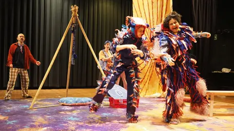 A montaxe inclusiva Somos os monstros, dirixida por Magda Labarga e con texto de Paula Carballeira, poder&aacute; verse esta fin de semana no Sal&oacute;n Teatro de Santiago.