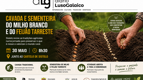 Departamento de Infograf&iacute;a DL-G