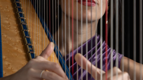 A arpista Neleta Ortiz ofrecer&aacute; no Claustro de San Francisco unha proposta que combina investigaci&oacute;n musicol&oacute;xica e excelencia interpretativa, coa estrea dunha obra in&eacute;dita de Enrico Mainardi.