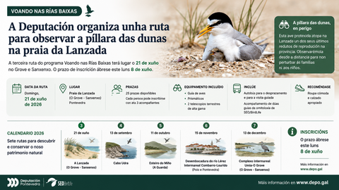Departamento de Infograf&iacute;a DL-G.