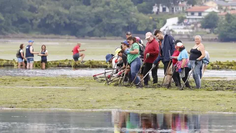 Mariscadoras de la Cofrad&iacute;a de Arcade realizan las labores de regeneraci&oacute;n y preengorde de la ostra plana europea en el r&iacute;o Alvedosas, dentro del proyecto Ostreares impulsado por la Xunta para recuperar los bancos naturales de este bivalvo en la r&iacute;a de Vigo.