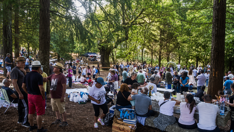 A veci&ntilde;anza de Queimadelos comparte unha multitudinaria merenda popular baixo o hist&oacute;rico Carballo da Armada, despois da celebraci&oacute;n das Pascuillas.