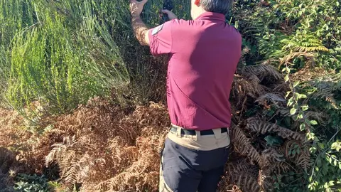 Personal del Parque Nacional durante los trabajos de recogida de material vegetal, una labor que busca obtener semillas de poblaciones adaptadas a las condiciones ambientales del litoral atl&aacute;ntico.