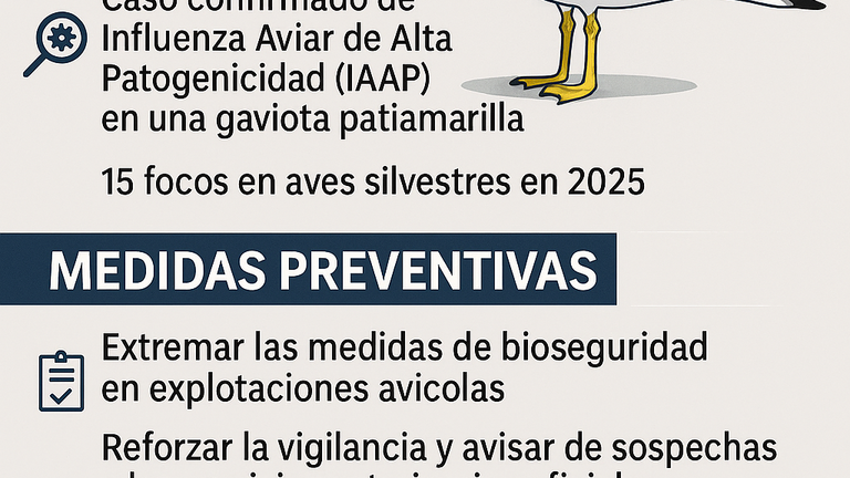 ChatGPT Image 29 nov 2025, 00_19_06