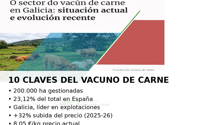 El vacuno de carne en Galicia: menos explotaciones, precios al alza y un futuro condicionado por el relevo generacional