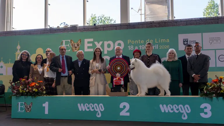 🐾 Ponte de Lima reúne a cerca de 1.000 perros en la Expo Canina y refuerza su proyección internacional
