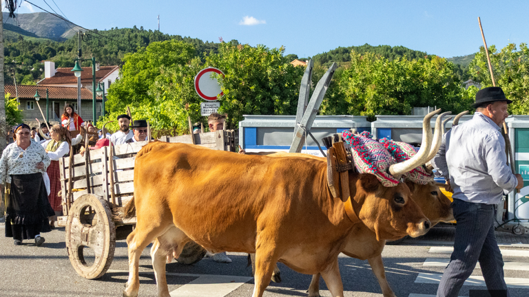 Soajo une tradición y naturaleza en una edición multitudinaria de la Feria de Artes y Oficios y el Outdoor Fest