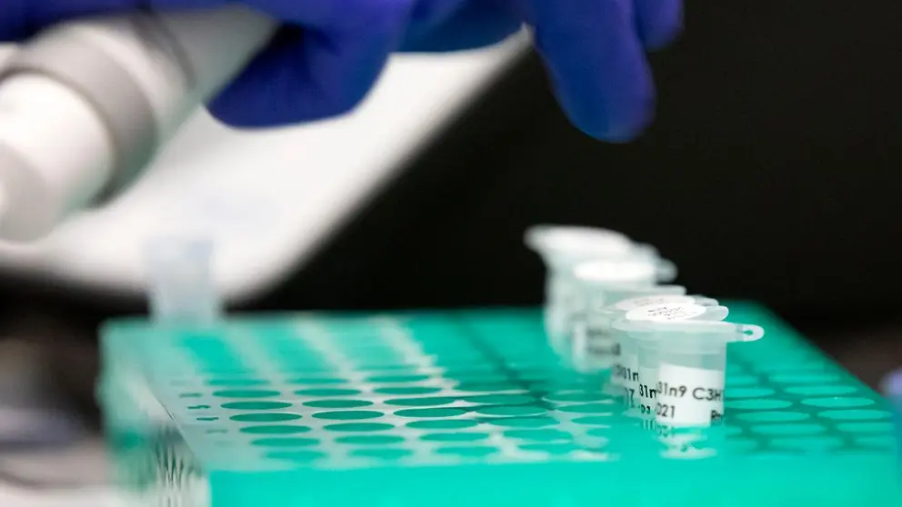 Detalle del espacio de investigación donde se desarrollarán los nuevos proyectos impulsados por la Red CIGUS.