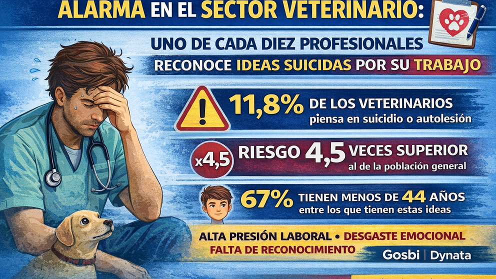 Infograf&iacute;a DL-G.