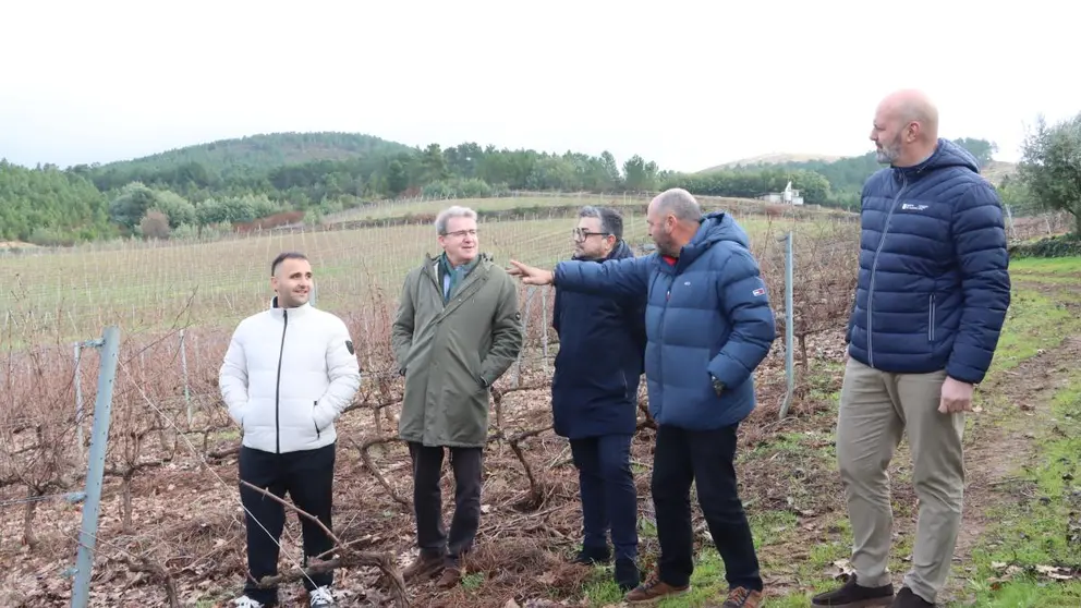 El delegado territorial de la Xunta en Ourense, Manuel Pardo, durante su visita a vi&ntilde;edos de la DO Monterrei en Ver&iacute;n, donde supervis&oacute; actuaciones de mejora en la bodega Pazo de Valdeconde apoyadas con ayudas auton&oacute;micas.