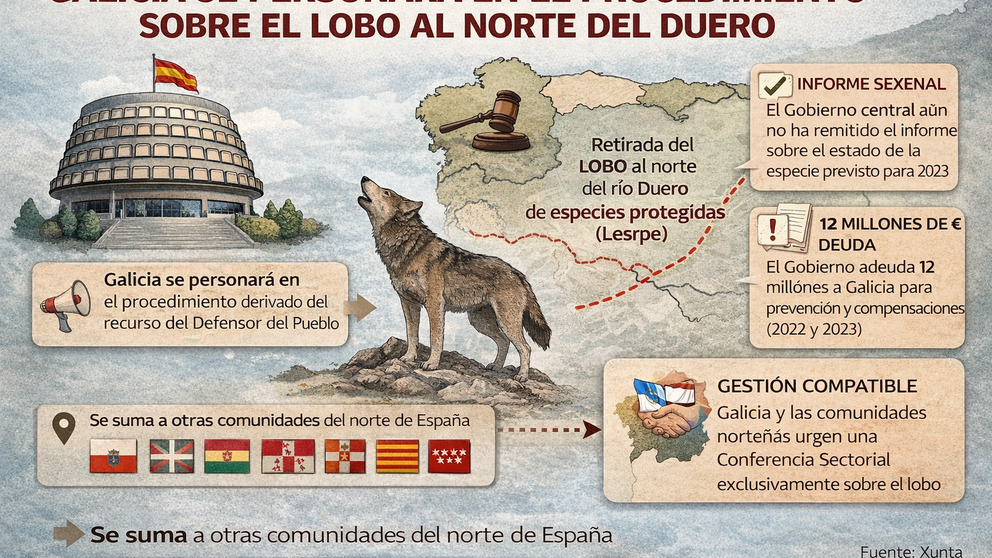 Infograf&iacute;a. DL-G.