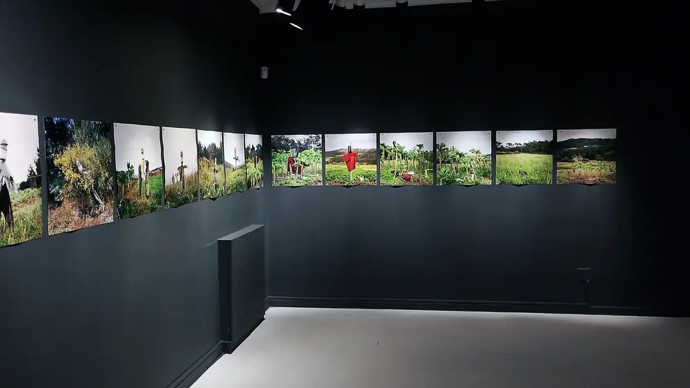Vista parcial da exposici&oacute;n Espantallos 2012-2025, de Manuel Send&oacute;n, na Fundaci&oacute;n Laxeiro, onde o artista revisita en secuencias fotogr&aacute;ficas a evoluci&oacute;n no tempo dos espantap&aacute;xaros do rural galego.