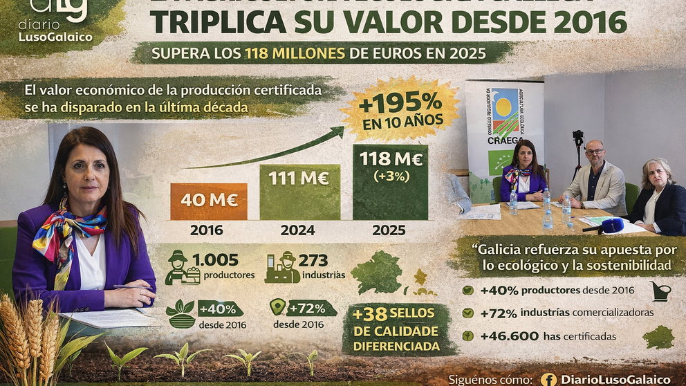 Departamento de Infograf&iacute;a DL-G.