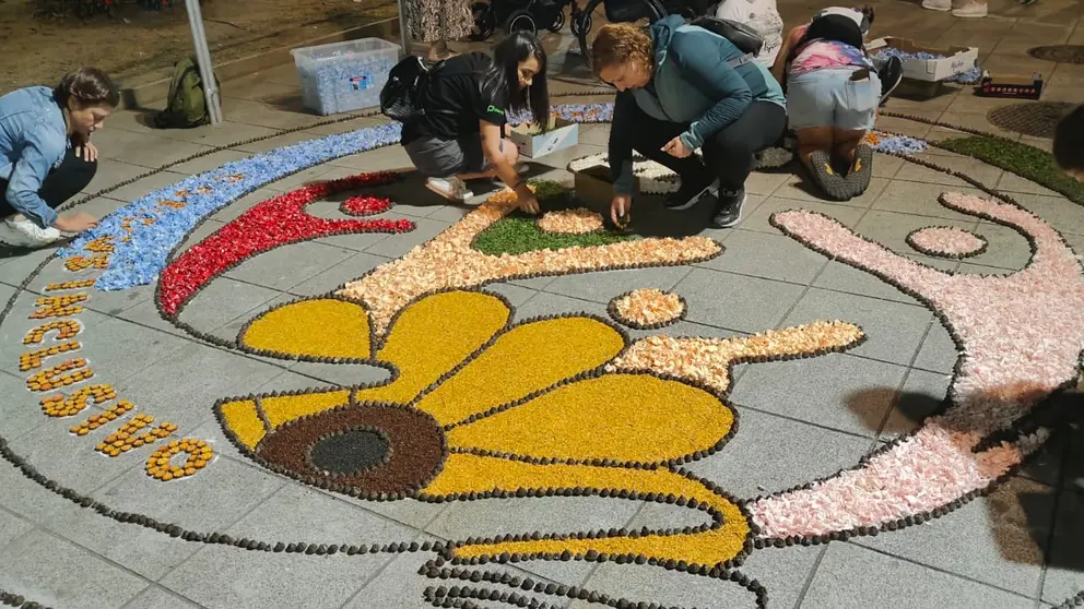 Integrantes de entidades sociales participan en la elaboraci&oacute;n de una alfombra floral solidaria inspirada en la lucha contra el c&aacute;ncer de mama, dentro de una iniciativa impulsada por los alfombristas del Corpus de Ponteareas.