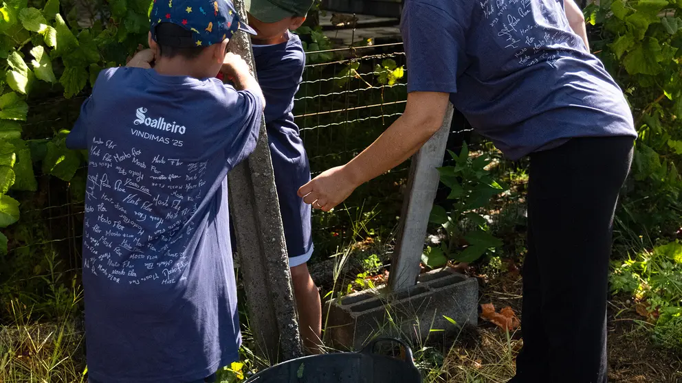 Una familia participa en la recogida de la uva durante la experiencia &laquo;Manta de Retalhos&raquo;, organizada por Soalheiro en sus vi&ntilde;edos de Mon&ccedil;&atilde;o y Melga&ccedil;o.