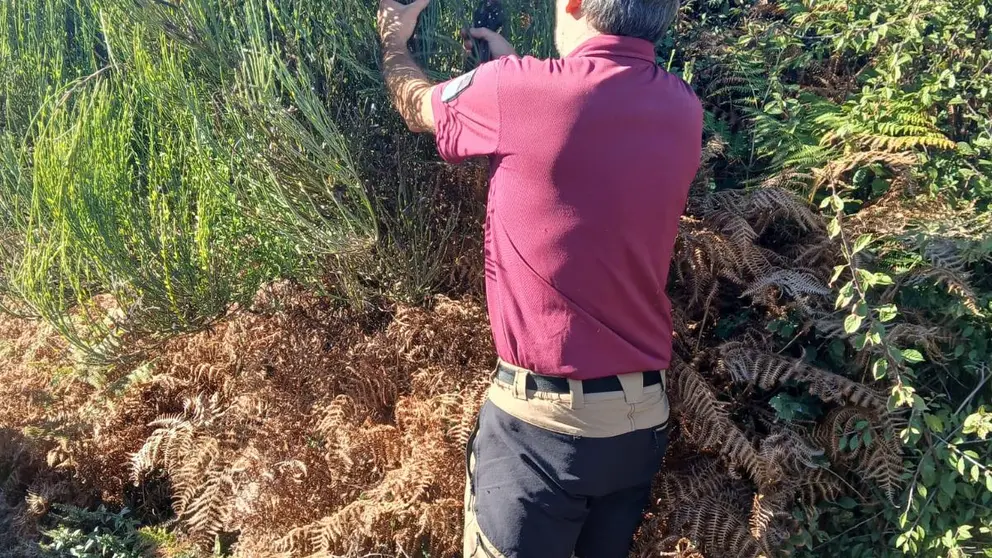 Personal del Parque Nacional durante los trabajos de recogida de material vegetal, una labor que busca obtener semillas de poblaciones adaptadas a las condiciones ambientales del litoral atl&aacute;ntico.