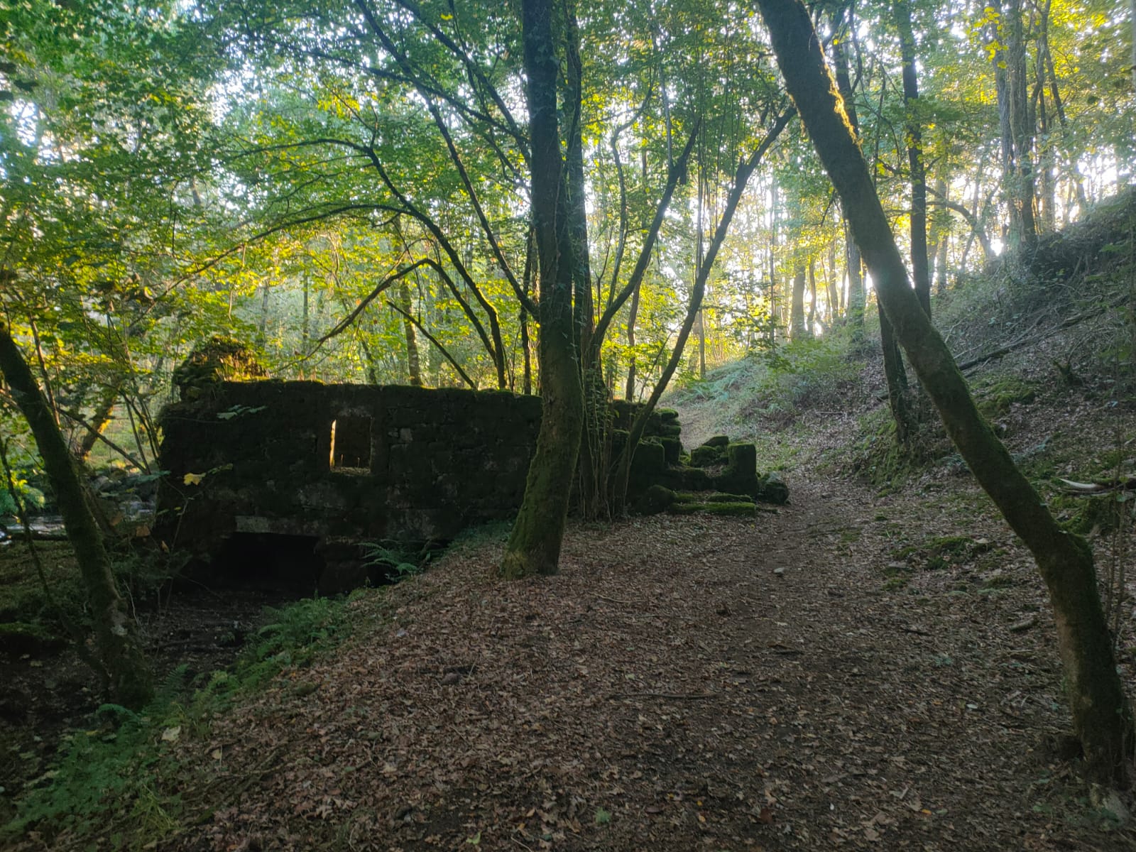 o Sendeiro do río Uma 02