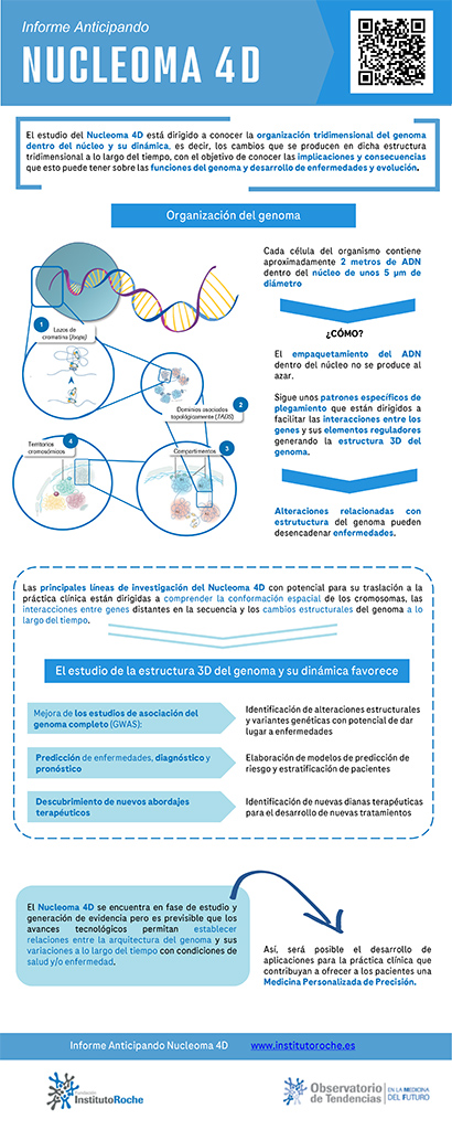 Infografía Nucleoma 4D_DEF